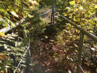 Herbstwanderung 9.10.21_27