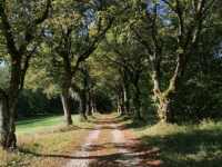 Herbstwanderung 9.10.21