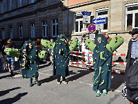 Faschingsumzug Bayreuth_36