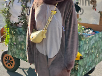 Faschingsumzug Bayreuth_18