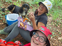 Wanderung Midnights 31.5.26
