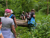 Wanderung Midnights 31.5.26_55